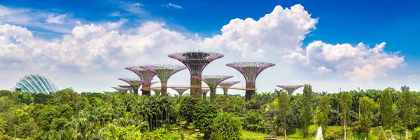 Singapore June 2018 Panorama Supertree Grove Gardens Bay Singapore Marina — Stock Photo, Image