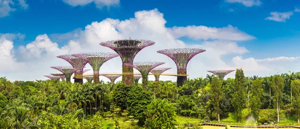 Singapore Junho 2018 Panorama Supertree Grove Jardins Junto Baía Singapura — Fotografia de Stock