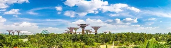 Singapore June 2018 Panorama Supertree Grove Gardens Bay Singapore Marina — Stock Photo, Image