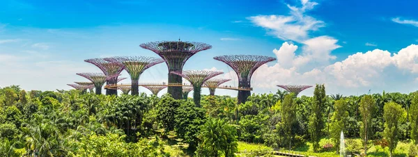 Singapur - 23 Haziran 2018: Supertree Grove Marina Bay Sands hotel yaz günü adlı yakınlarında Singapur koyda bahçelerle adlı Panoraması