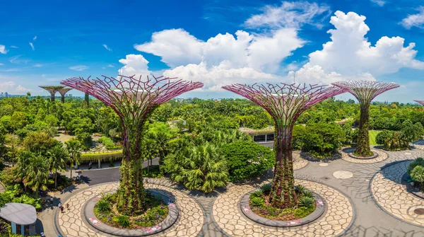 Singapur Června 2018 Panorama Supertree Grove Zahradách Bay Singapuru Poblíž — Stock fotografie