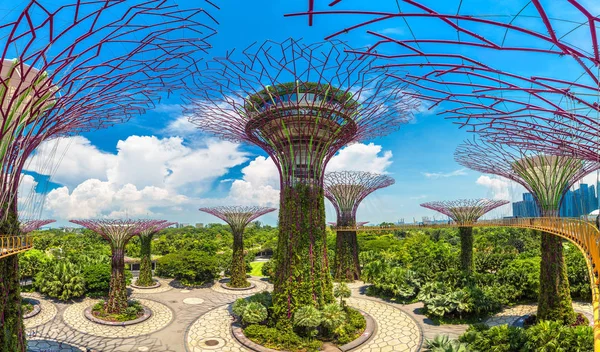 Singapore Junho 2018 Panorama Supertree Grove Jardins Junto Baía Singapura — Fotografia de Stock