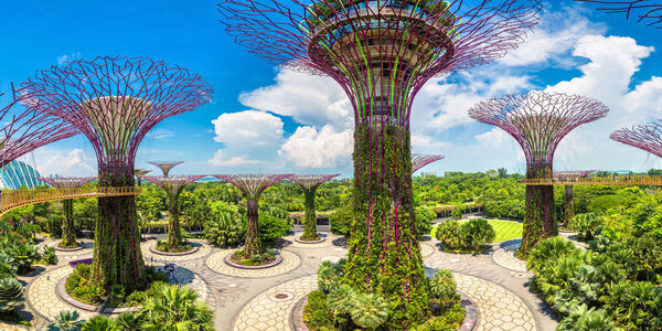 SINGAPORE - JUNE 23, 2018: Panorama of The Supertree Grove at Gardens by the Bay in Singapore near Marina Bay Sands hotel at summer day