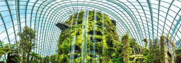Singapore Junho 2018 Panorama Cachoeira Cúpula Floresta Nuvem Conservatória Cingapura — Fotografia de Stock