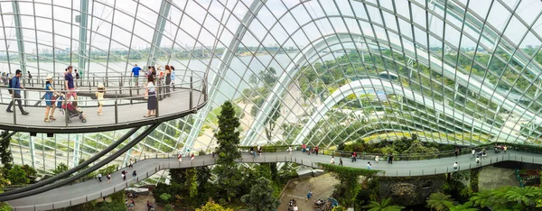 Singapore Junho 2018 Panorama Cúpula Floresta Nuvem Conservatória Cingapura Dia — Fotografia de Stock