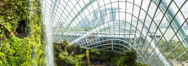 Singapore Giugno 2018 Panorama Della Cascata Nella Cupola Della Foresta — Foto Stock