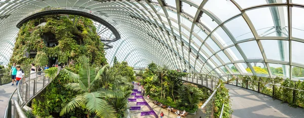 Singapore Juni 2018 Panorama Conservatory Molnskog Dome Singapore Sommardag — Stockfoto