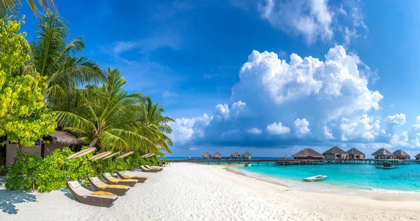 Panorama Tumbonas Madera Playa Tropical Las Maldivas Día Verano —  Fotos de Stock