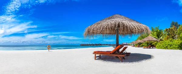 Panorama Trä Solbädd Och Paraply Tropisk Strand Maldiverna Sommardag — Stockfoto