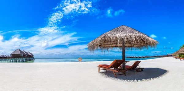 Panorama Wooden Sunbed Umbrella Tropical Beach Maldives Summer Day — Stock Photo, Image