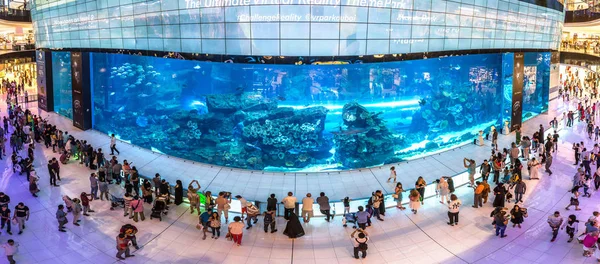 Dubai Emiratos Árabes Unidos Junio 2018 Panorama Del Acuario Dubai — Foto de Stock