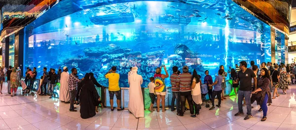 Dubai Förenade Arabemiraten Juni 2018 Panorama Akvarium Dubai Mall Världens — Stockfoto