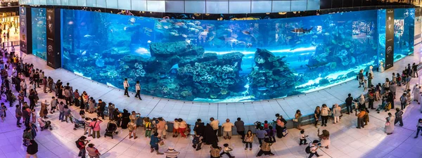 Dubai Uae Juni 2018 Panorama Des Aquariums Dubai Mall Weltgrößtes — Stockfoto