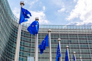 Brussels, Belçika - 6 Temmuz 2014: Avrupa bayrakları yaz günü Brüksel'deki Avrupa Komisyonu Genel Merkezi önünde