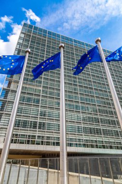 Brussels, Belçika - 6 Temmuz 2014: Avrupa bayrakları yaz günü Brüksel'deki Avrupa Komisyonu Genel Merkezi önünde