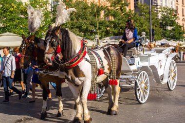 Krakow, Polonya - 16 Haziran 2014: At arabası ana Meydanı bir yaz günü Krakow, Polonya üzerinde 16 Haziran 2014 '