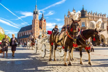 Krakow, Polonya - 16 Haziran 2014: At arabası ana Meydanı bir yaz günü Krakow, Polonya üzerinde 16 Haziran 2014 '