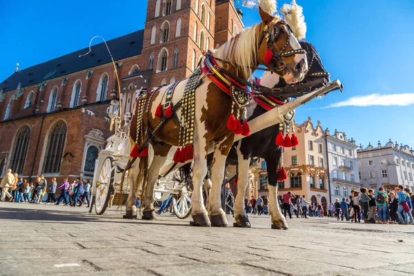 Krakow Polen Juni 2014 Häst Vagnar Stora Torget Krakow Sommardag — Stockfoto