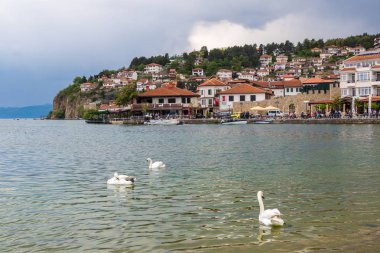 Ohrid, Makedonya - 22 Haziran 2016: Beyaz Ohri Gölü içinde güzel bir yaz günü, Makedonya Cumhuriyeti kuğu
