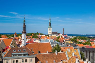 Tallinn, Estonya - 23 Haziran 2016: Havadan görünümü, Tallinn eski şehirde bir güzel yaz günü, Estonya