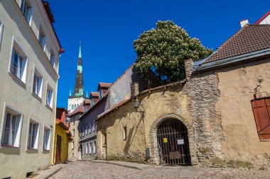 Tallinn, Estonya - 23 Haziran 2016: Tallinn Old Town bir güzel yaz günü Estonya üzerinde 23 Haziran 2016 yılında