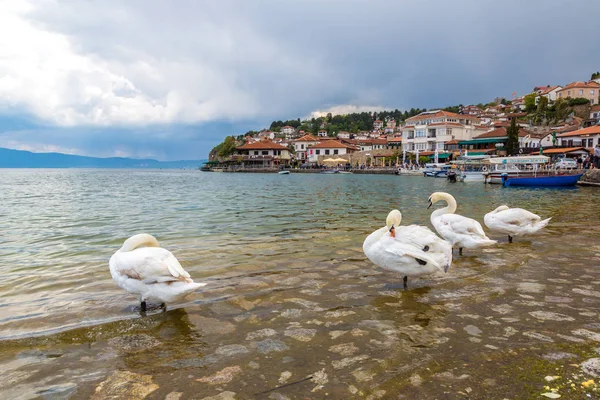 Ohrid Makedonya Haziran 2016 Beyaz Ohri Gölü Içinde Güzel Bir — Stok fotoğraf