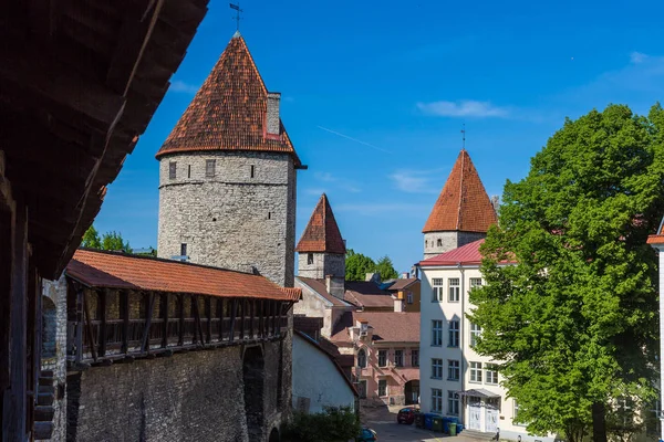 Tallinn Estonya Haziran 2016 Kale Kuleleri Bir Güzel Yaz Günü — Stok fotoğraf