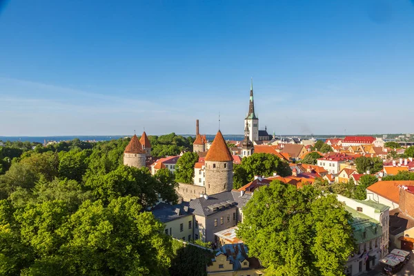 爱沙尼亚塔林 2016年6月23日 在美丽的夏日 爱沙尼亚的塔林老城鸟瞰图 — 图库照片