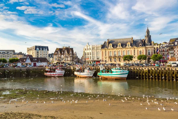 Trouville Francia Junio 2016 Trouville Río Touques Montón Gaviotas Hermoso — Foto de Stock