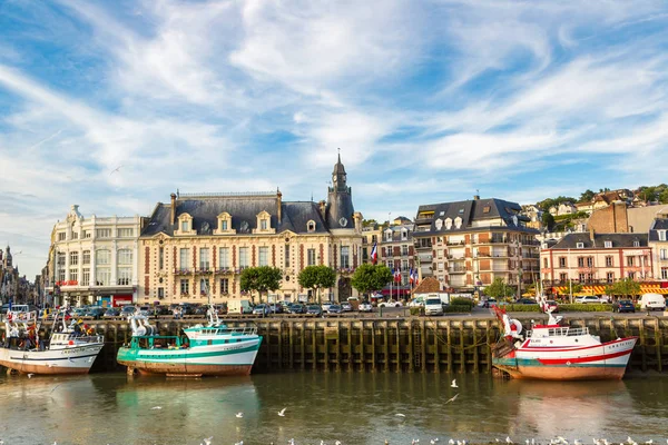 프랑스 2016 트루와 프랑스에에서 갈매기의 — 스톡 사진