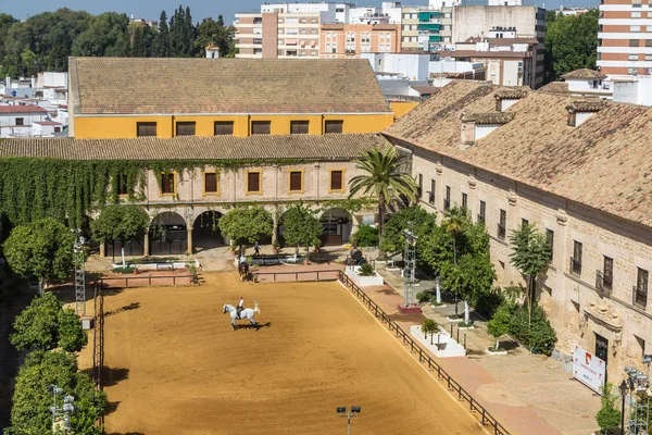 Cordoba España Junio 2016 Jardines Alcázar Los Reyes Cristianos Córdoba — Foto de Stock