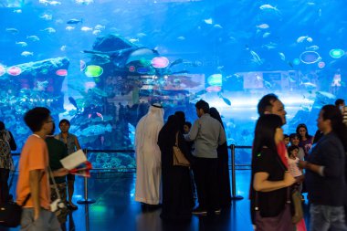Dubai, Birleşik Arap Emirlikleri - 14 Kasım 2012: Dubai alışveriş merkezi Dubai, Suudi Arabistan, akvaryum