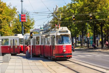 Vienna, Avusturya - 25 Temmuz 2017: Geleneksel kırmızı elektrikli tramvay Viyana, Avusturya'da bir güzel yaz gün