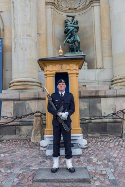 Stockholm, İsveç - 25 Ağustos, 2014:Royal Muhafızlar, ana korumak Sarayı'nda gerçekleşiyor İsveç silahlı Forces.It birimleri tarafından onur kıtası İsveç kralı çıktı ve Kraliyet ailesinin korunması için sorumludur