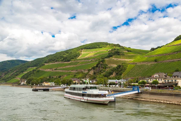 Germania Giugno 2016 Romantica Valle Del Reno Una Zona Vinicola — Foto Stock