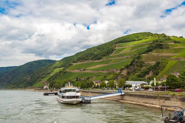 Deutschland Juni 2016 Das Romantische Rheintal Ist Ein Weinanbaugebiet Einem — Stockfoto