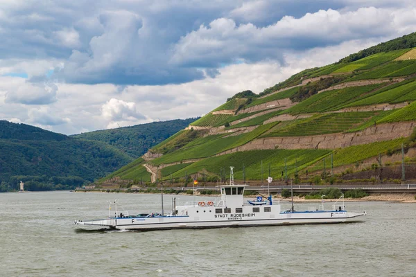 Germania Giugno 2016 Romantica Valle Del Reno Una Zona Vinicola — Foto Stock