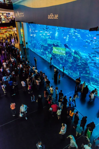 Dubai Uae November 2012 Aquarium Dubai Mall Dubai United Arab — Stock Photo, Image