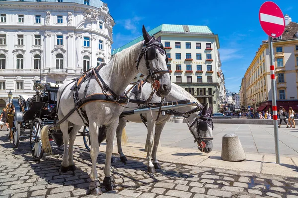 Wien Österrike Juli 2017 Hästskjuts Wien Vacker Sommardag — Stockfoto