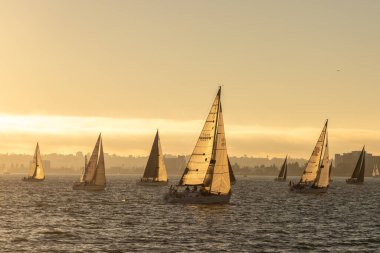 SAN DIEGO, ABD - 29 Mart 2020: Birçok yelkenli San Diego körfezinde yelken ABD 'nin Kaliforniya, günbatımında