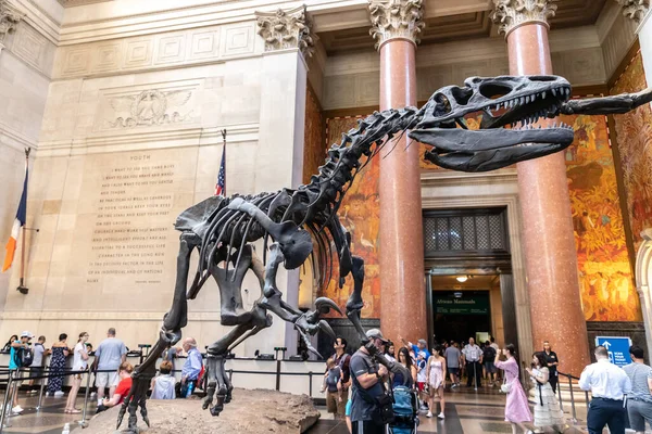 Nova Iorque Cidade Eua Março 2020 Dinossauro Museu Americano História — Fotografia de Stock