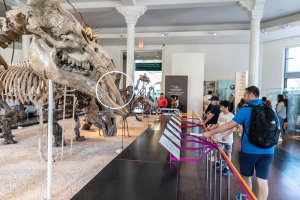 New York City Usa March 2020 Interior American Museum Natural — Stock Photo, Image