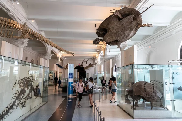 New York City Usa March 2020 Interior American Museum Natural — Stock Photo, Image