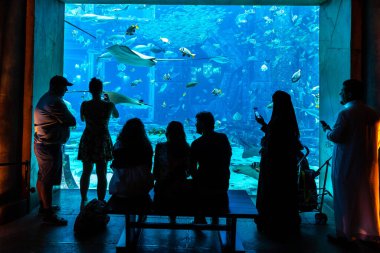DUBAI, BAE - 26 Haziran 2018: Kayıp odalar - Dubai, Birleşik Arap Emirlikleri, Atlantis Oteli 'ndeki büyük akvaryum