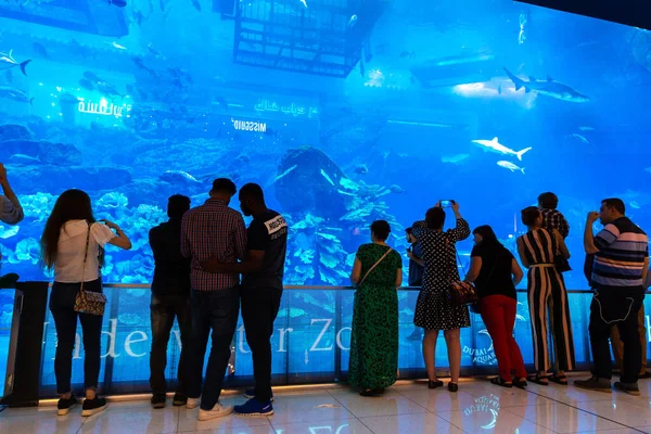 Dubai Förenade Arabemiraten April 2020 Enormt Akvarium Dubai Mall Världens — Stockfoto