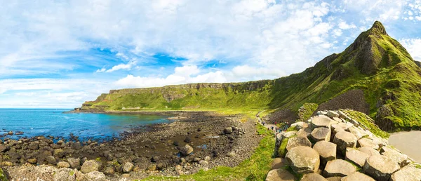 Causeway Gigante Belo Dia Verão Irlanda Norte — Fotografia de Stock