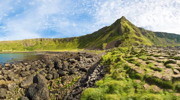 Calzada Del Gigante Hermoso Día Verano Irlanda Del Norte — Foto de Stock