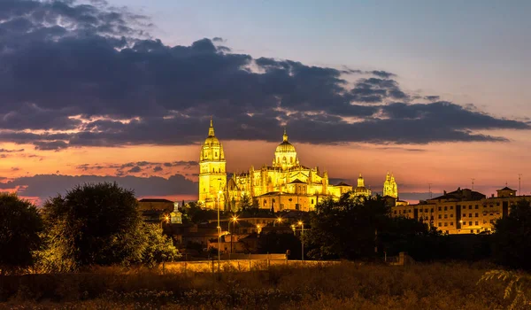 Panorama Van Kathedraal Van Salamanca Een Mooie Zomeravond Spanje — Stockfoto