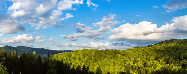 Panorama Del Bosque Montañoso Los Cárpatos Hermoso Día Verano Ucrania —  Fotos de Stock