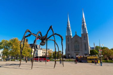 OTTAWA, CANADA - 2 Nisan 2020: Ottawa 'daki Maman Heykeli ve Notre-Dame Katedrali Bazilikası güneşli bir günde, Kanada